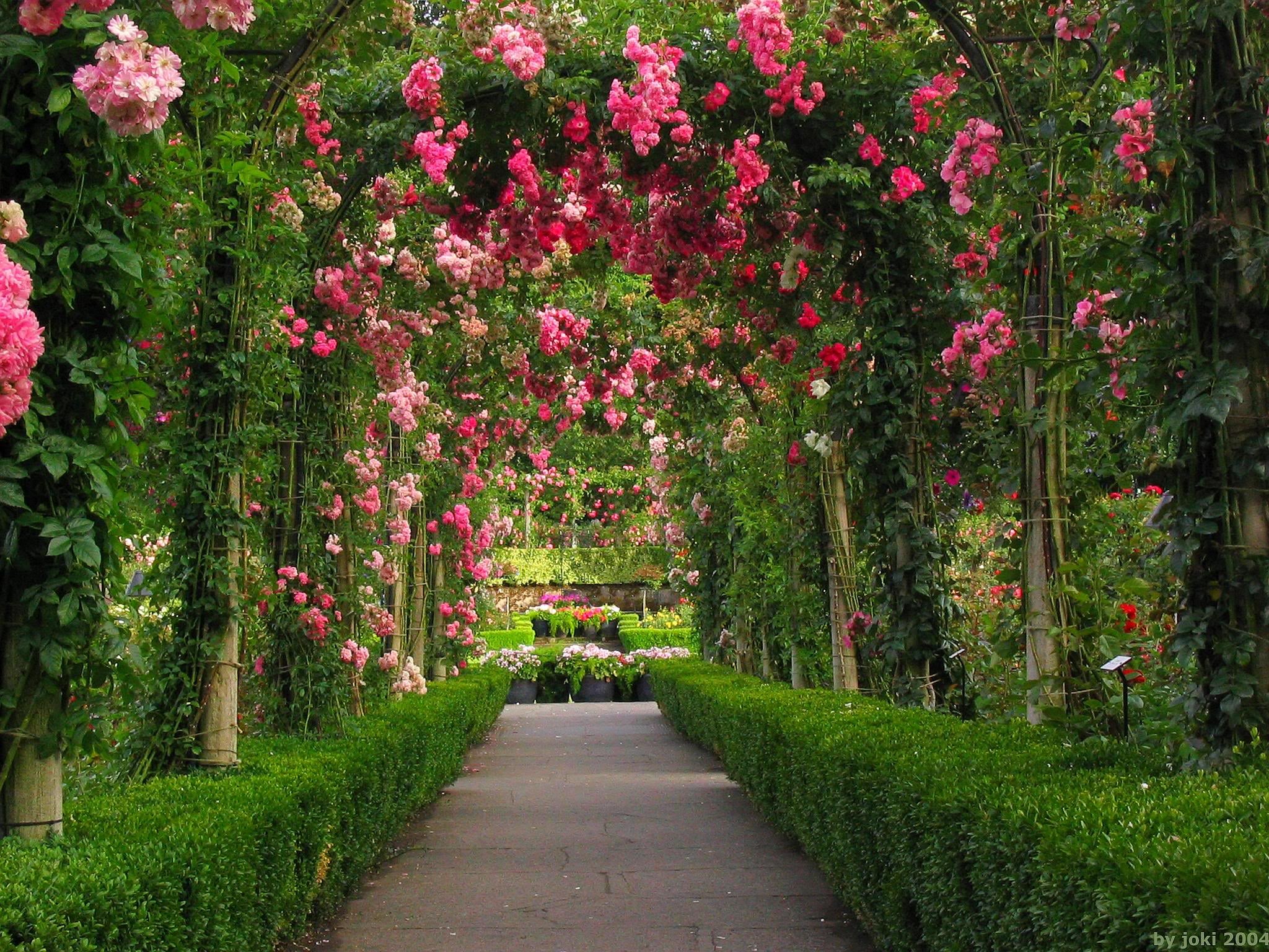 English garden